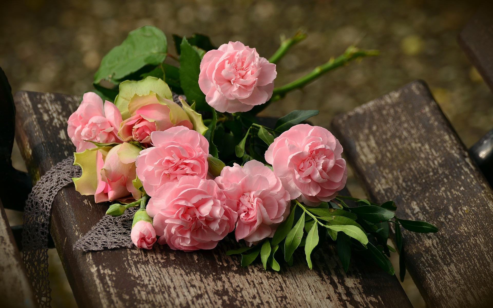 Fresh flowers, Eight baby pink roses and two buds, one slightly open, the other closed, on a wooden bench tied with grey lace fabric