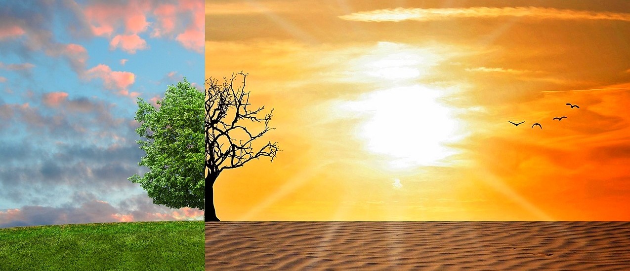 Climate representation of two typical wet and dry seasons: Tree divided into 1/3 picture from left green leaves, green pasture, blue sky and tuffs of pink and grey clouds, and 2/3 picture to the right with half tree dried up and black in front on an orange sky with yellow sun and 4 black silhouetted birds flying in the distance.