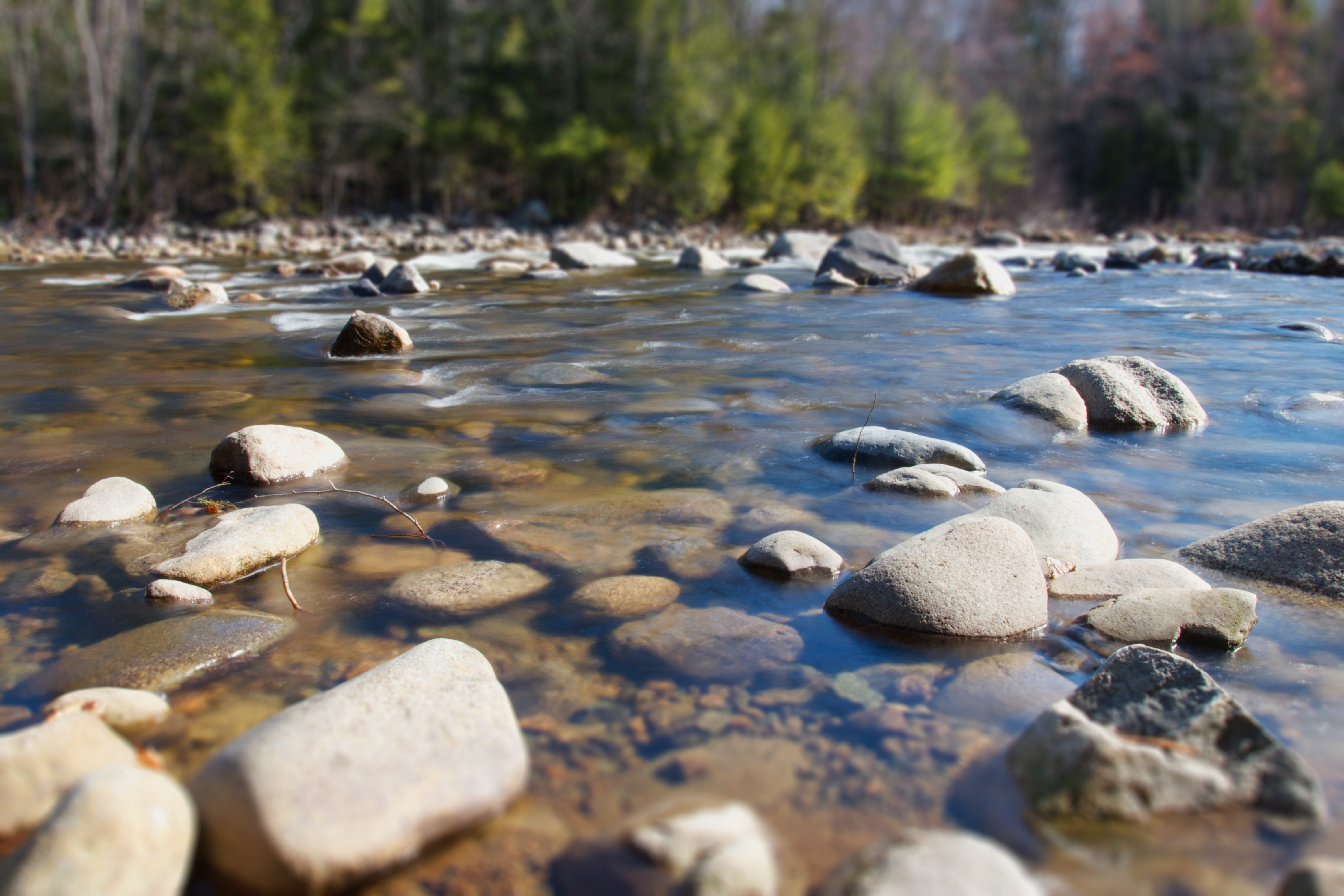 Clear river water strewn with polished medium sized rocks and green trees on the bank in the distance