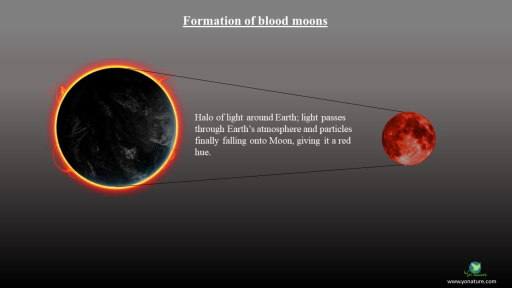 Black Earth in front of yellow sun forming a halo of light around it, which points to a small moon with a reddish hue, explaining how light creates blood moons.