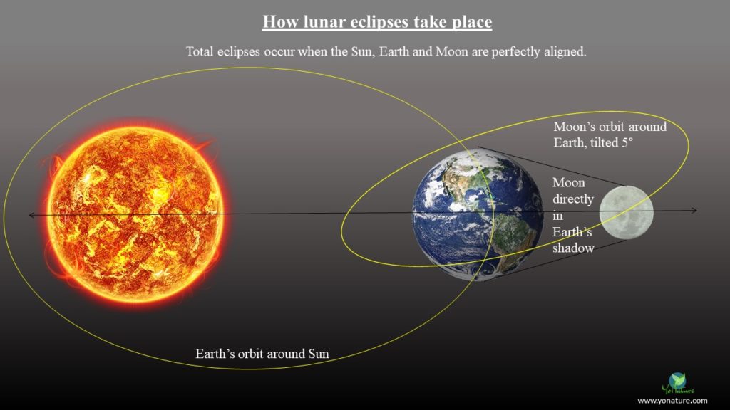 Yellow sun, blue Earth, white moon, all aligned in one plane forming a total lunar eclipse, Earth's orbit around Sun in yellow, Moon's orbit around Earth slanted 5° in yellow.