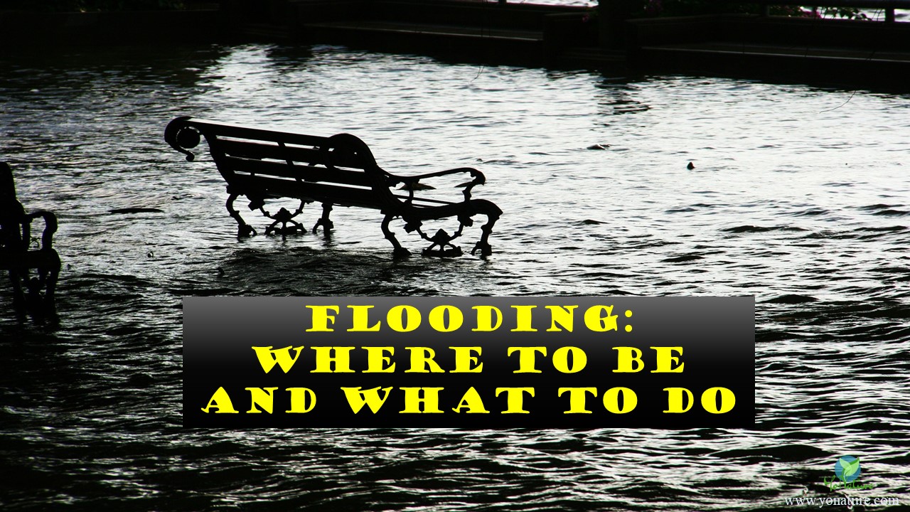 Monochrome picture showing a bench in a flooded plain with the words, flooding, where to be and what to do, written in yellow in a black box