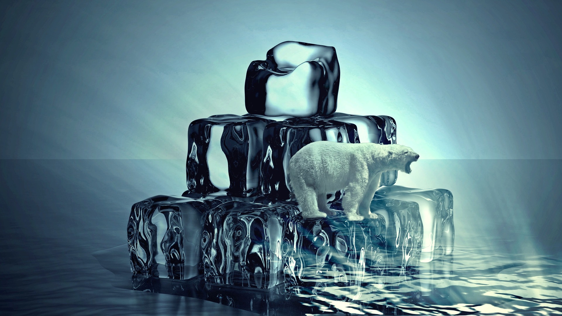 White polar bear with open mouth standing on lower ice cube of three ice cube layers in the sea showing negative impacts of humans on the environment