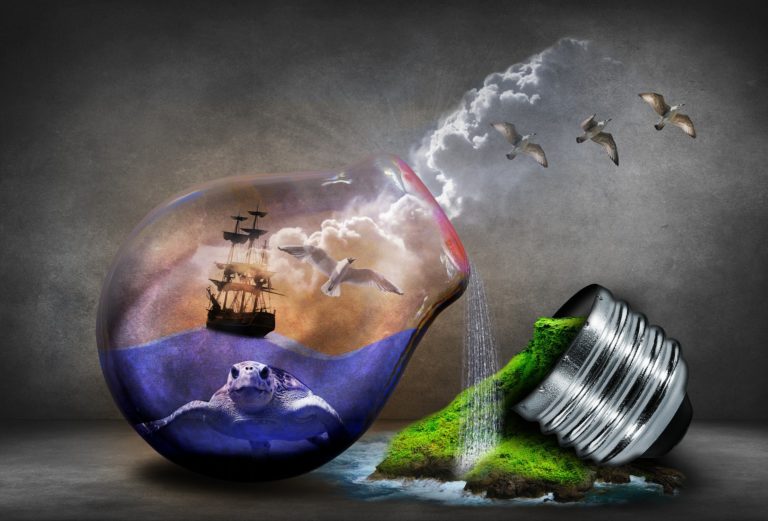How to decrease your ecological footprint , open light bulb half filled with water with turtle in it, boat floating and white seagulls flying above and out of it light bulb case on mossy green rocks spilling from it