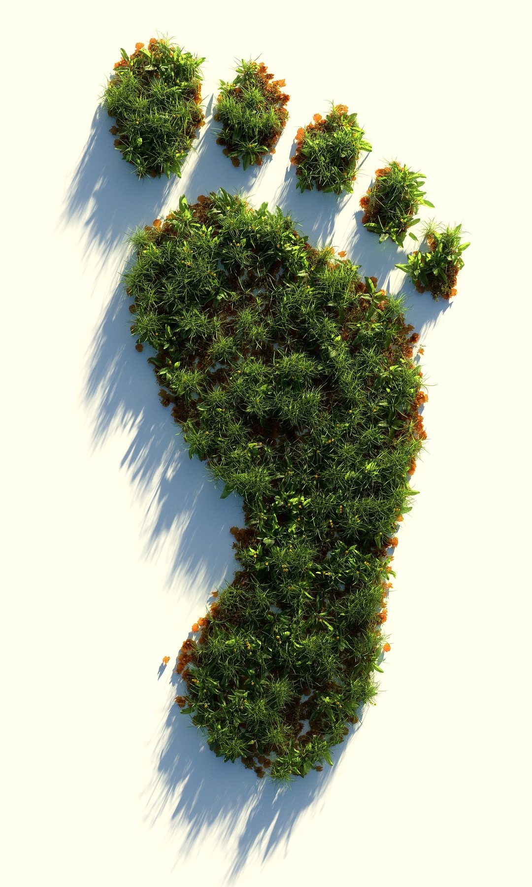 Footprint made of green bushes representing the ecological footprint