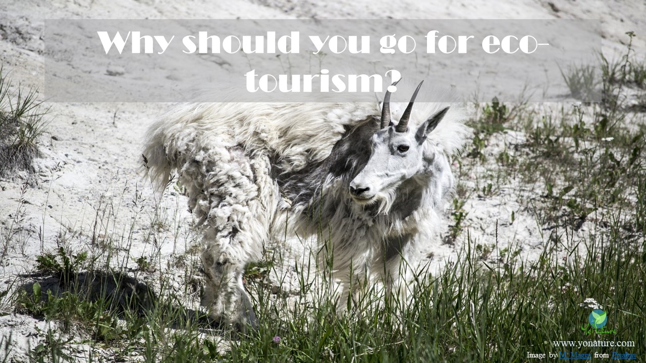 5 reasons why ecotourism is better than traditional tourism