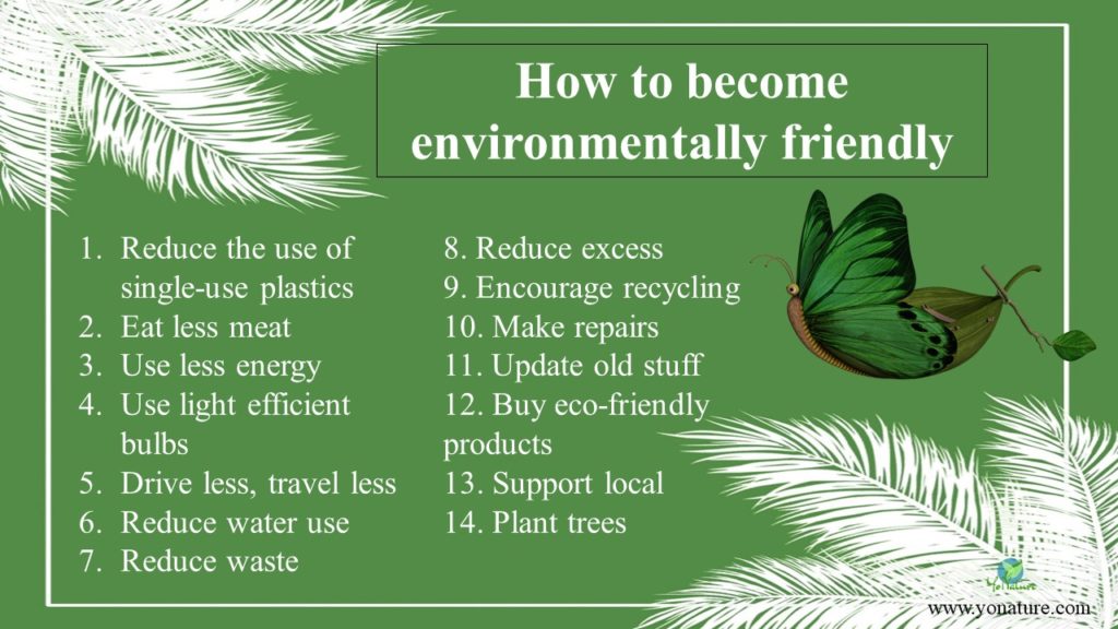 Green background with words how to become environmentally friendly written