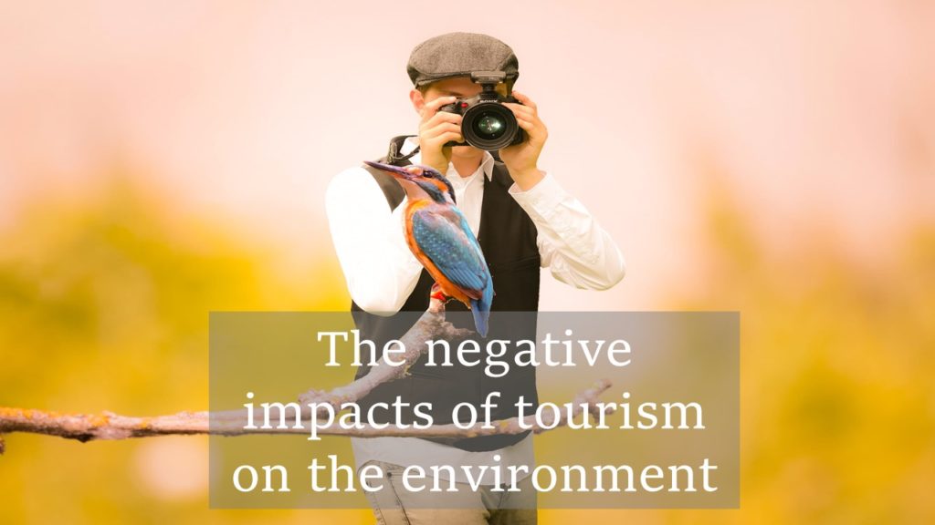 negative effect of tourism to the environment