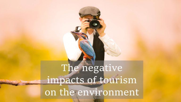 Man photographing blue and orange bird on pink and orange background with words 'the negative impacts of tourism on the environment'