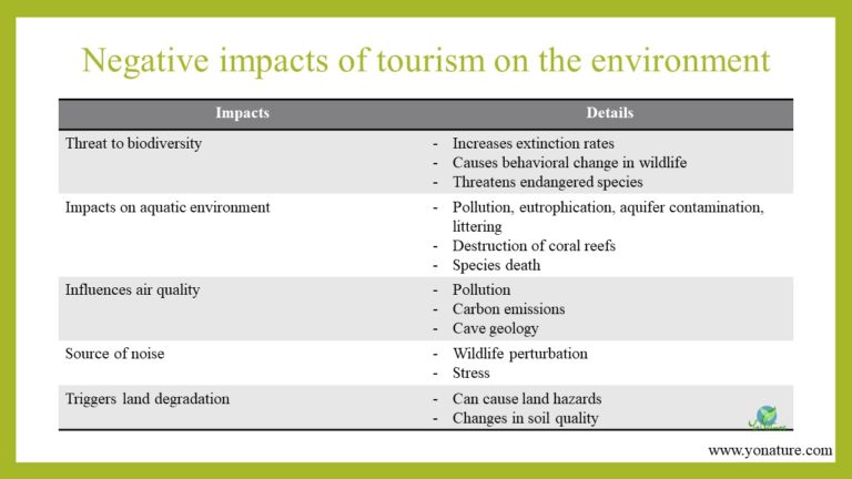 disadvantages of tourism environmental