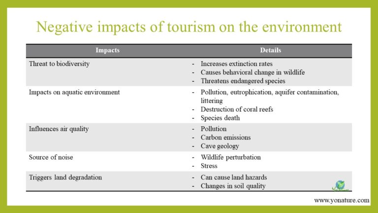 negative impact of tourism brainly