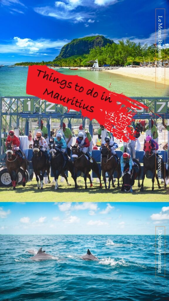 Things to do in Mauritius written in red box on mosaic of three pictures: green le morne brabant mountain, 7 horse stalls at Champ de mars racecourse mounted by jockeys, fins of dolphins in the blue sea during dolphin swimming