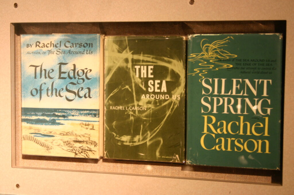 Three books in cream coloured display box, blue book the edge of the sea, green book, the sea around us and green book silent spring by rachel carson, environmental studies