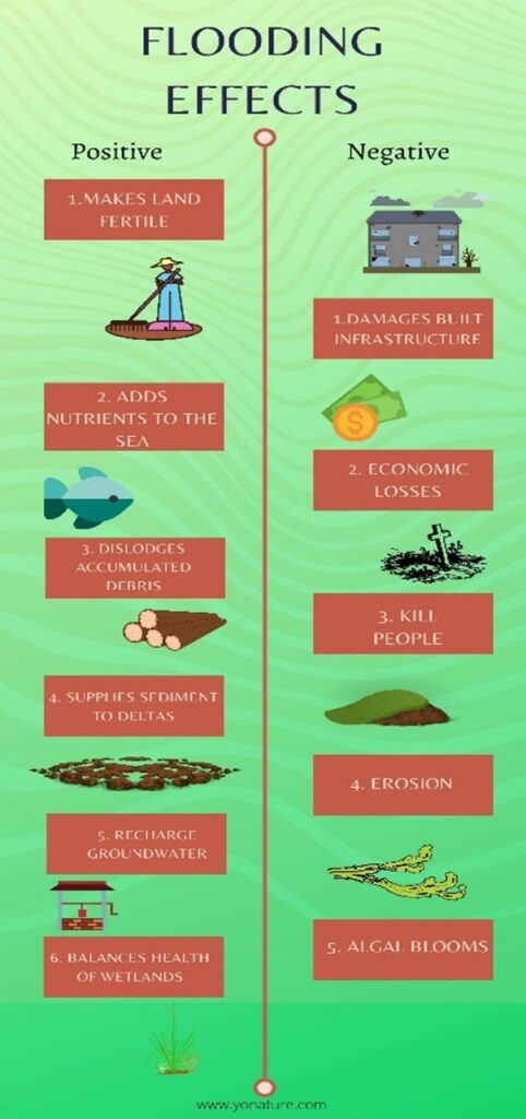 Infographic showing the positive and negative effects of flooding, green background with 6 positive red blocks on left and 5 negative effects on right, floods