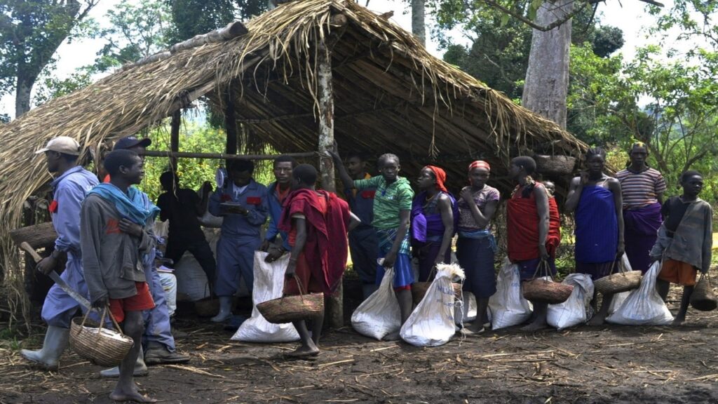 Ethiopian plantation workers standing in front of straw hut with white bags in their hands