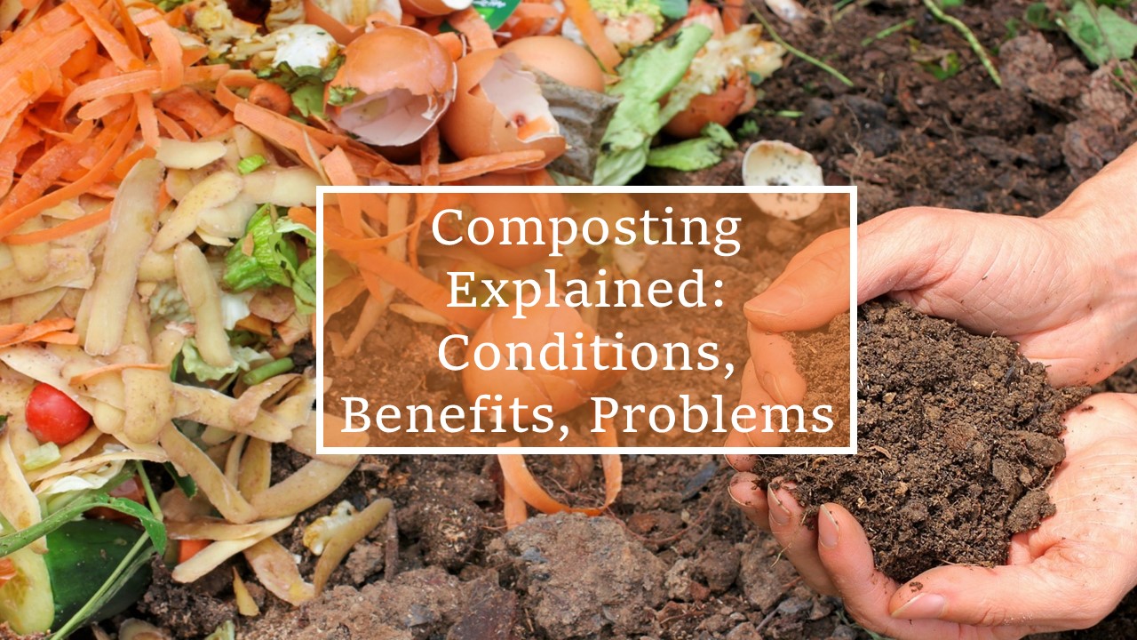 Composting Explained: Conditions, Benefits, Problems, Uses; vegetable peels orange carrot, brown potato and green leaves with brown broken egg shells in dark brown soil with hands holding soil