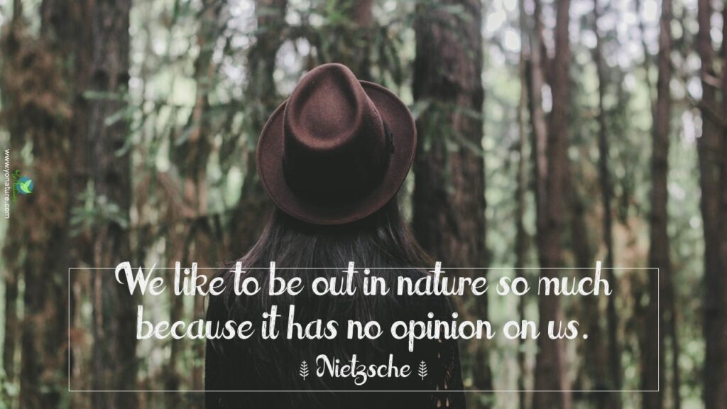 Nature, environment quotes by Nietzsche: we like to be out in nature so much because it has no opinion on us written on photograph of woman back wearing maroon hat standing in front of brown trees
