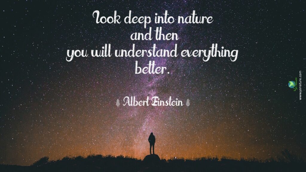 Nature, environment quotes by Albert Einstein; look deep into nature and then you will understand everything better written on picture of starry night and black man profile standing on boulder