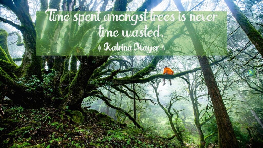 Nature, environment quotes by Katrina Mayer: time spent amongst trees is never time wasted written on picture of huge green tree with thick branches and man wearing red parka sitting on one branch