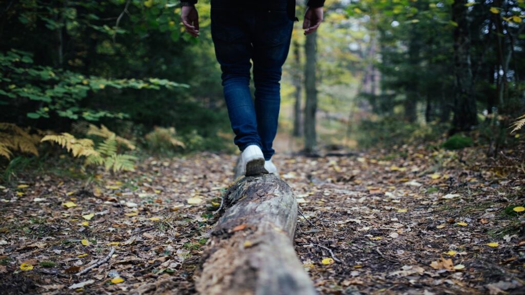 person lower body wearing dark blue jeans and white shoes walking on brown log in woods, negative effects of tourism on the environment