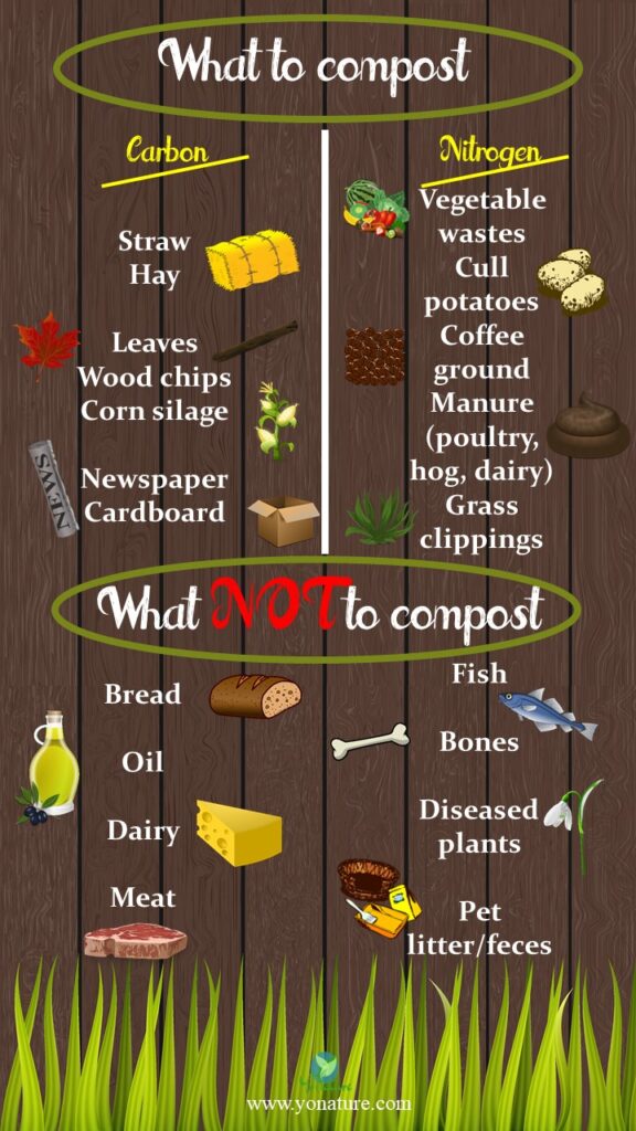 infographic, brown wooden panel with green grass at bottom with words what to compost and what not to compost written on in