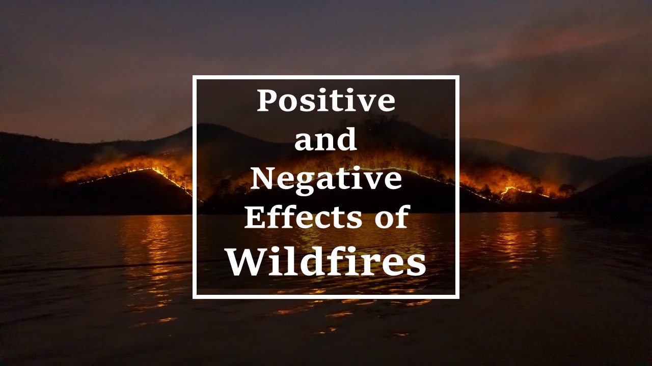 Positive and negative effects of wildfires written in black box on image of black hill burning with orange flame on rim