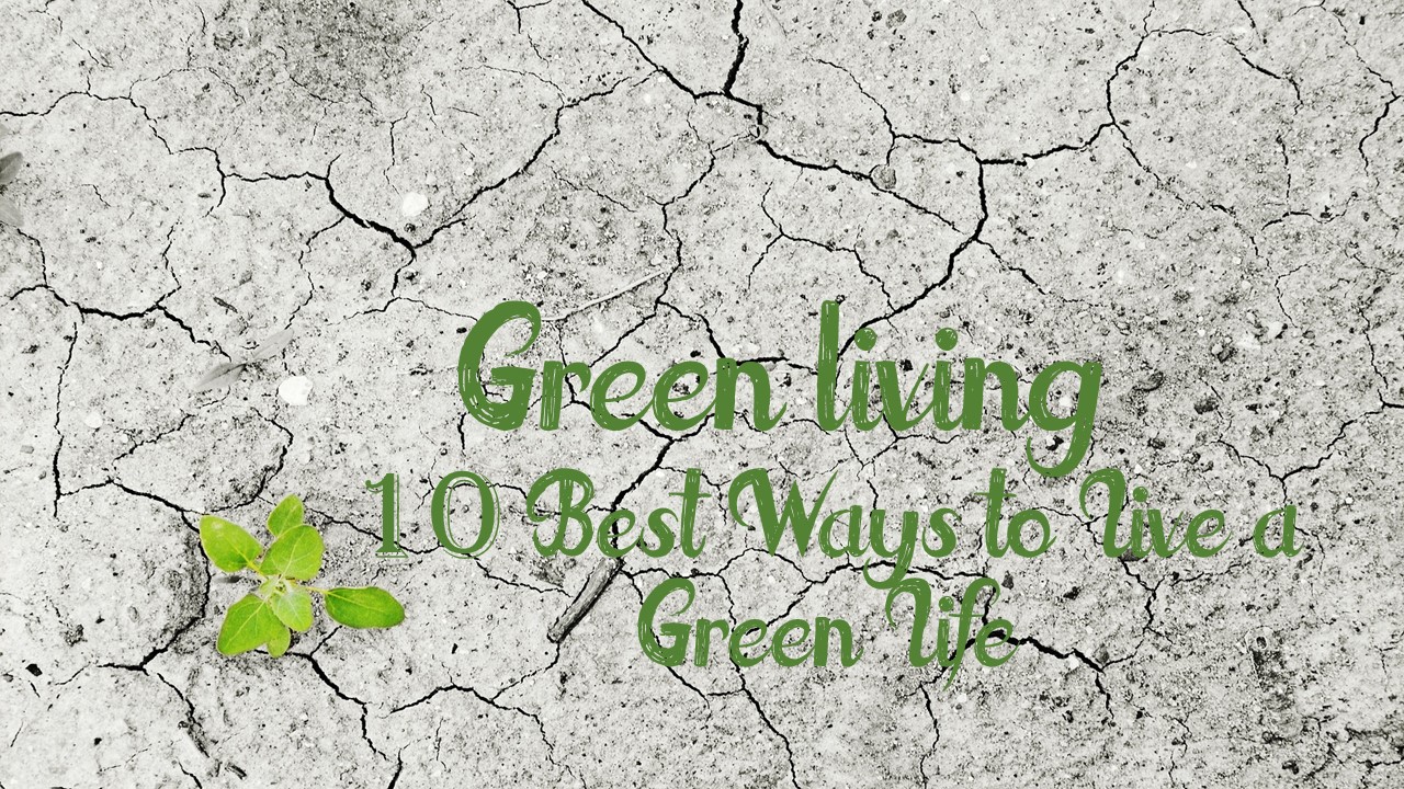 Green living, 10 best ways to live a green life written on dry cracked ground with small green leaved plant