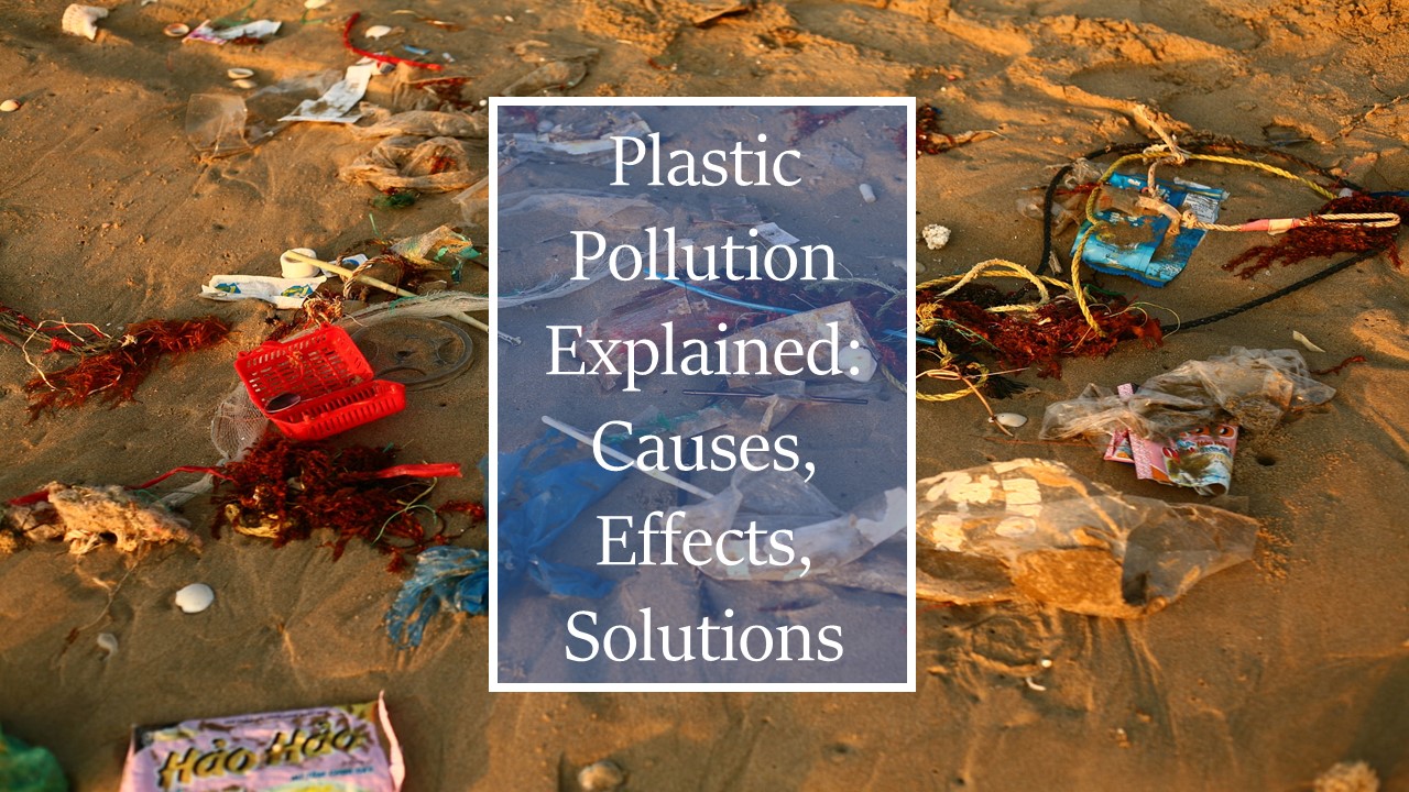 Brown sand covered with plastic litter, Plastic pollution explained: causes, effects and solutions