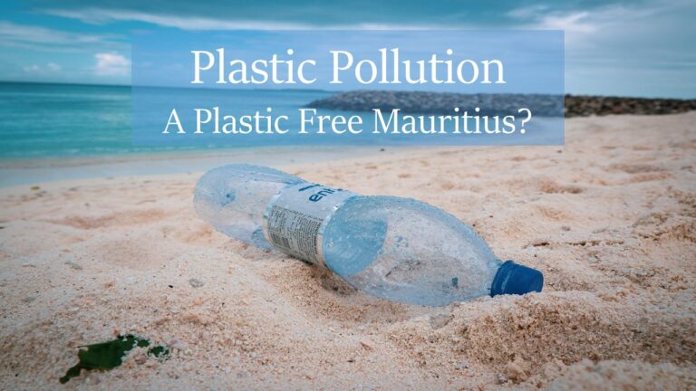 plastic pollution in mauritius, clear plastic bottle lying on white sand of beach in front of blue ocean water