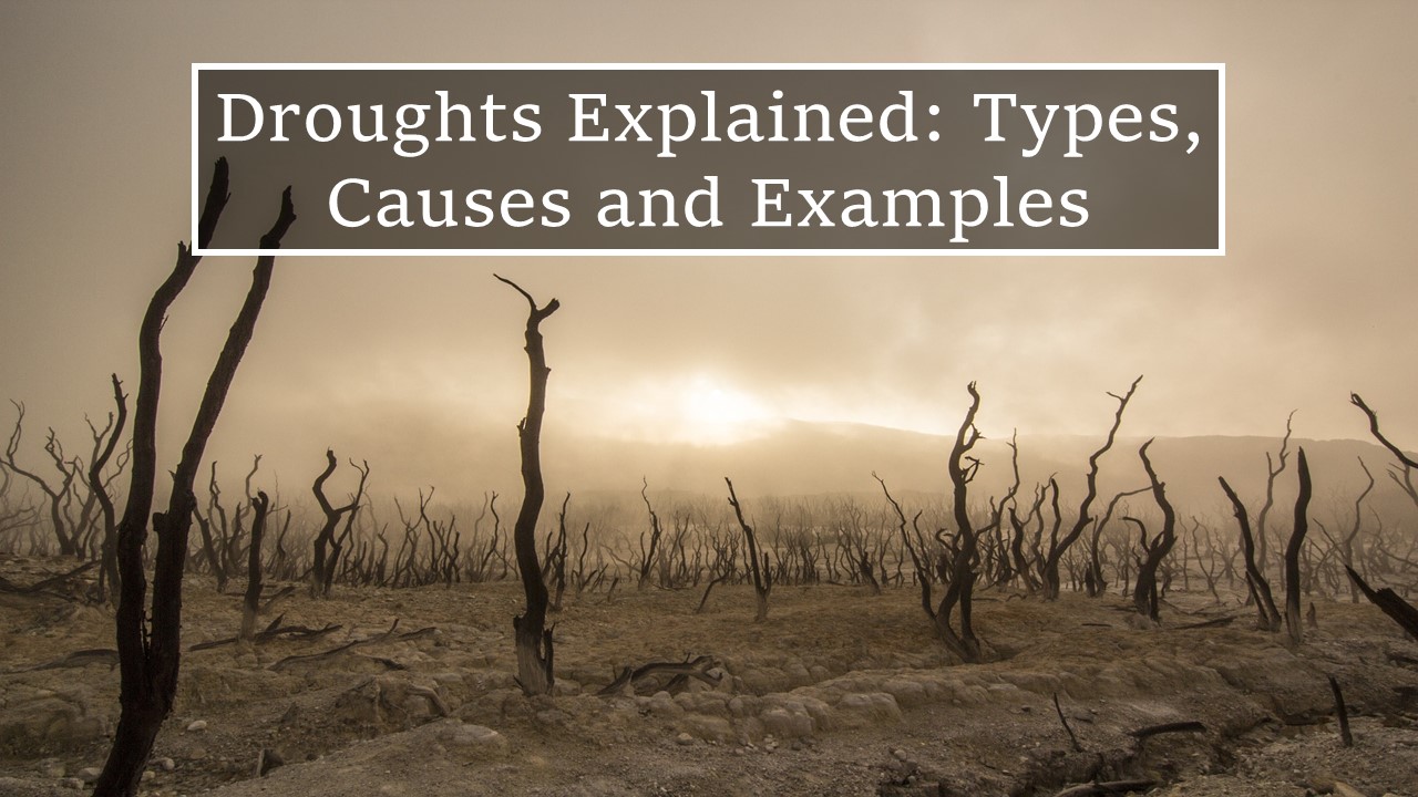 droughts explained: types, causes and examples written in black box on image of blackened dried bushes in brown soil