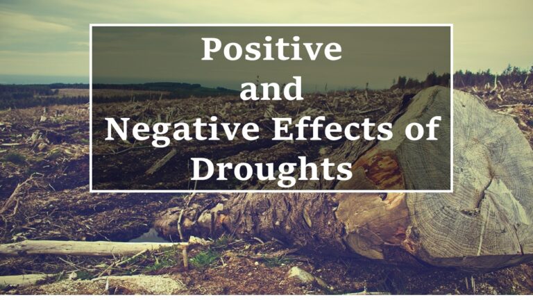 positive and negative effects of droughts written in black box on picture of cut down trees